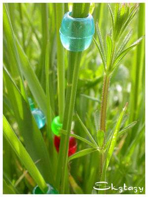 L'herbe tendre(qui n'attend que moi)