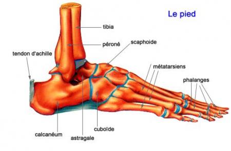 Mon pied est cass�